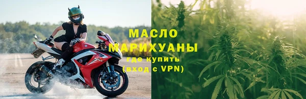 индика Сосновка
