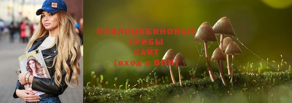 молекула духа Снежногорск