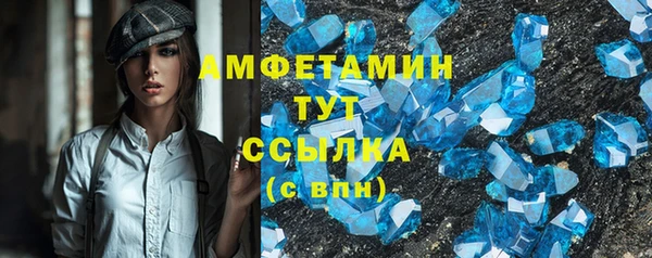 молекула духа Снежногорск