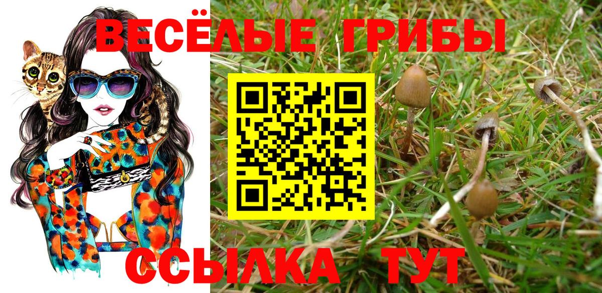 Галлюциногенные грибы Magic Shrooms  Вход с VPN  Северобайкальск 