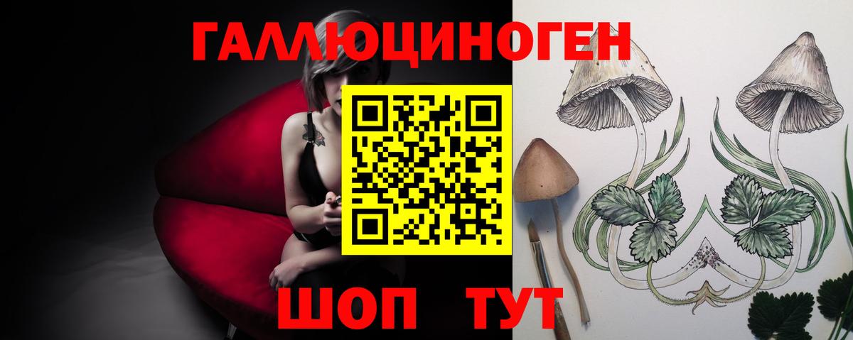 Галлюциногенные грибы Cubensis Северобайкальск